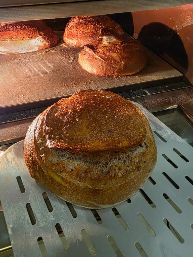 Pão artesanal de casca crocante assado no forno de lastro com vapor Larroyd