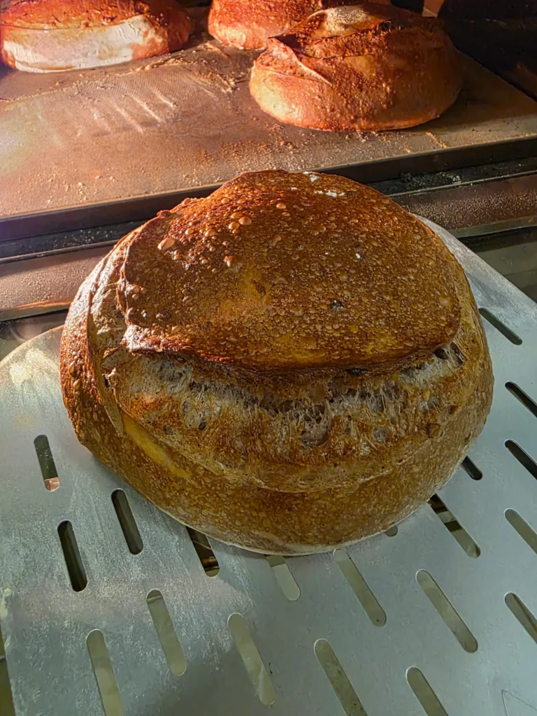 Pão rústico de casca grossa no forno de lastro com vapor Larroyd