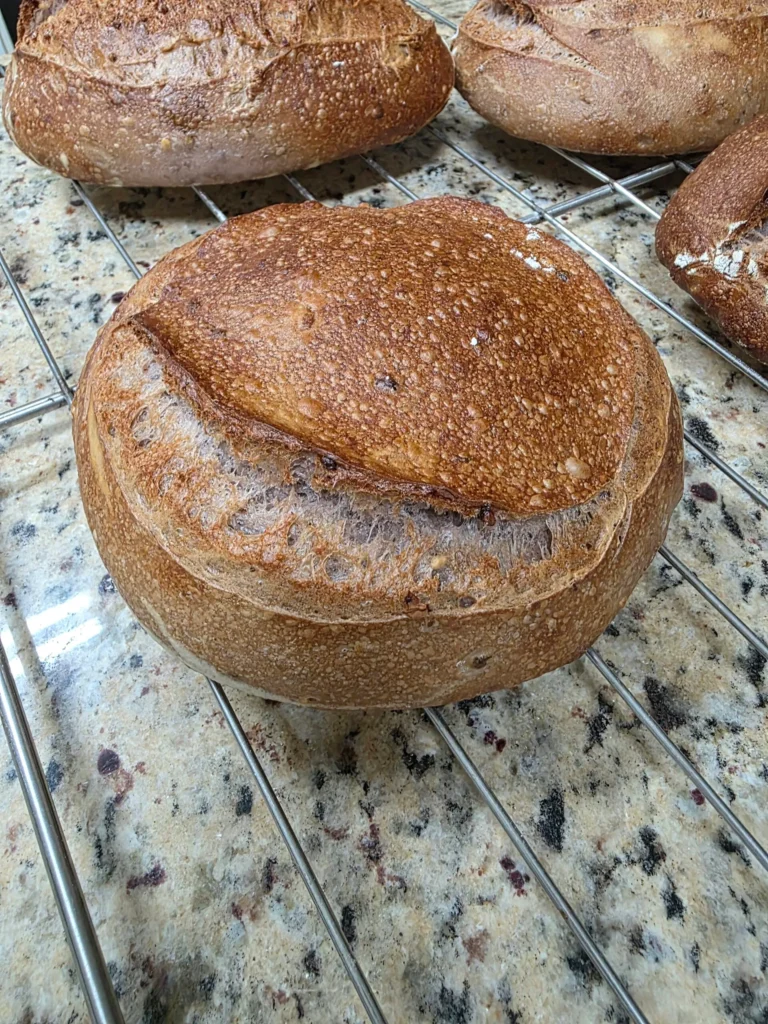 Pão de fermentação natural no forno com vapor Larroyd