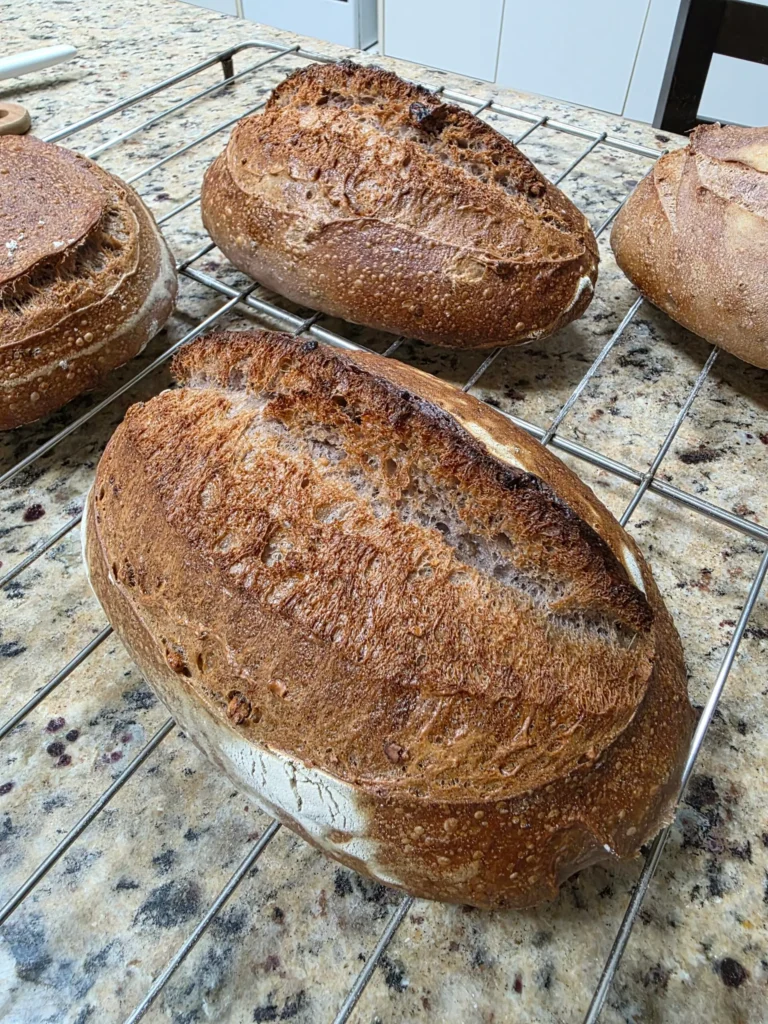 Pães artesanais dourados assados no forno de lastro Larroyd